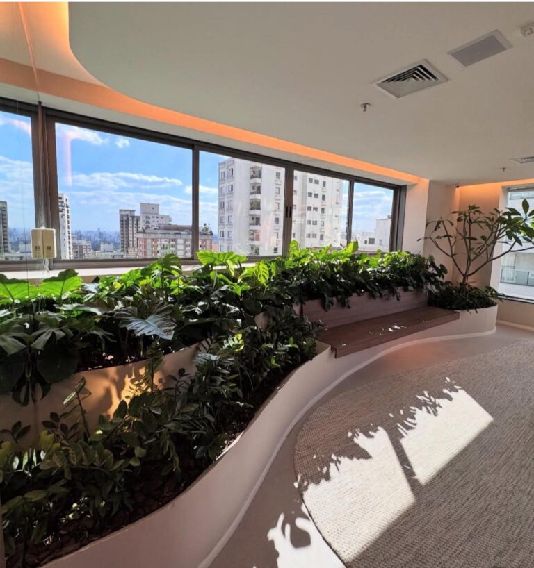 WhatsApp Image 2026-02-07 at 18.48.14