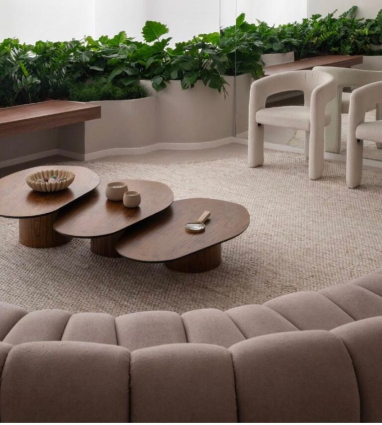 WhatsApp Image 2026-02-07 at 18.50.03